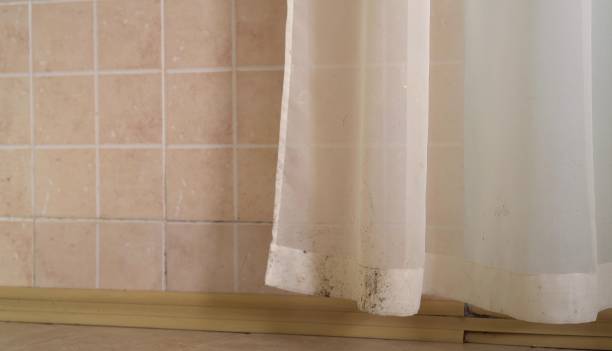 Best Mold Remediation for Healthcare Facilities  in Charlevoix, MI