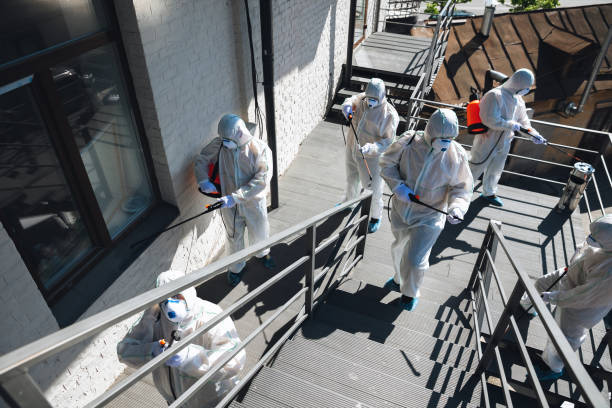 Best Residential Mold Inspection & Testing  in Charlevoix, MI