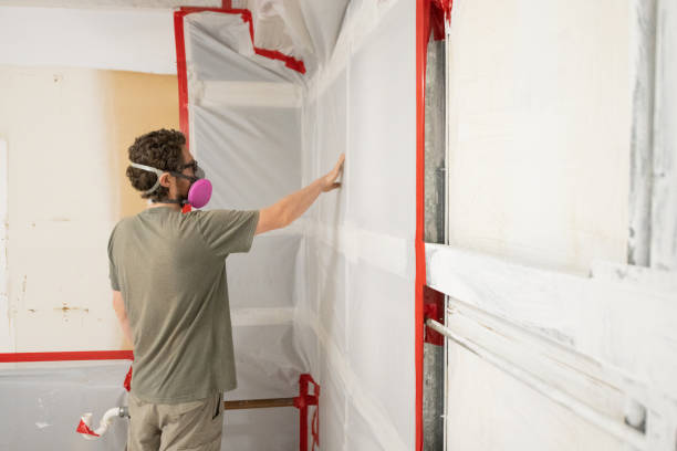 Best Emergency Mold Remediation  in Charlevoix, MI