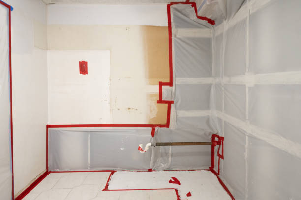 Best Crawl Space Mold Remediation  in Charlevoix, MI