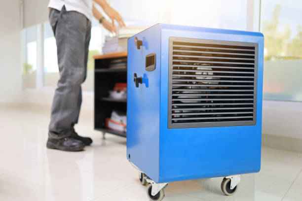 Best Mold-Related Health Consultation  in Charlevoix, MI