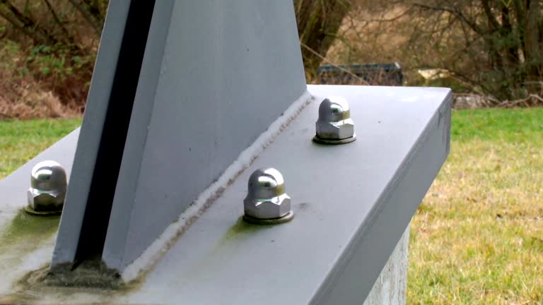 Best Attic Mold Removal  in Charlevoix, MI