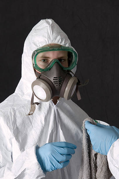 Best Asbestos and Lead Testing During Mold Inspection  in Charlevoix, MI